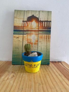 Lotus Flat - Canoa Quebrada